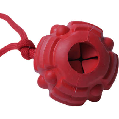 Brinquedo Bola com Corda Vermelho Sabor Carne para Cães