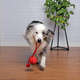 Brinquedo Bola com Corda Vermelho Sabor Carne para Cães
