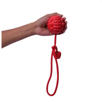 Brinquedo Bola com Corda Vermelho Sabor Carne para Cães”