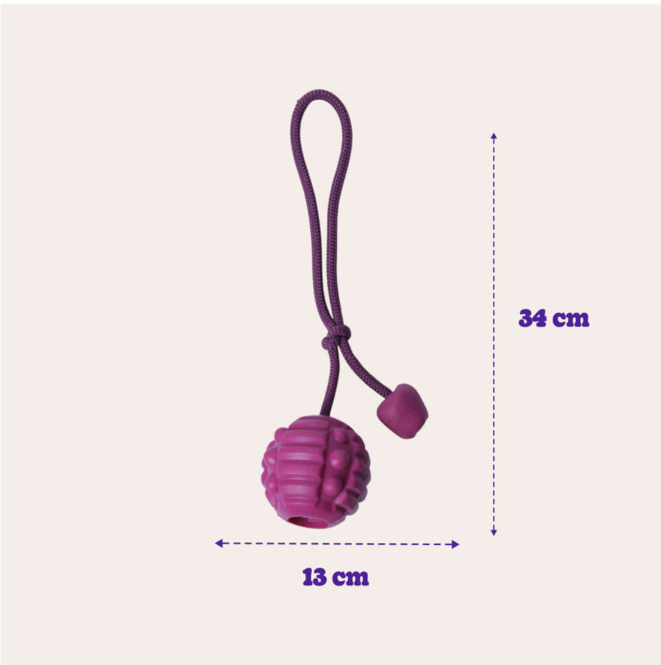 Brinquedo Bola com Corda Roxo Sabor Carne para Cães - Tam. Único