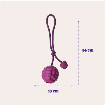 Brinquedo Bola com Corda Roxo Sabor Carne para Cães
