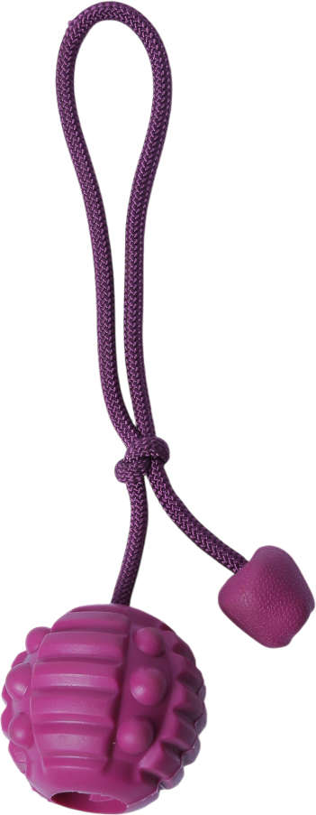 Brinquedo Bola com Corda Roxo Sabor Carne para Cães - Tam. Único
