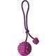 Brinquedo Bola com Corda Roxo Sabor Carne para Cães