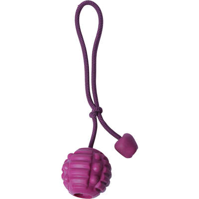 Brinquedo Bola com Corda Roxo Sabor Carne para Cães