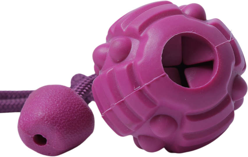 Brinquedo Bola com Corda Roxo Sabor Carne para Cães - Tam. Único