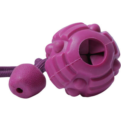 Brinquedo Bola com Corda Roxo Sabor Carne para Cães