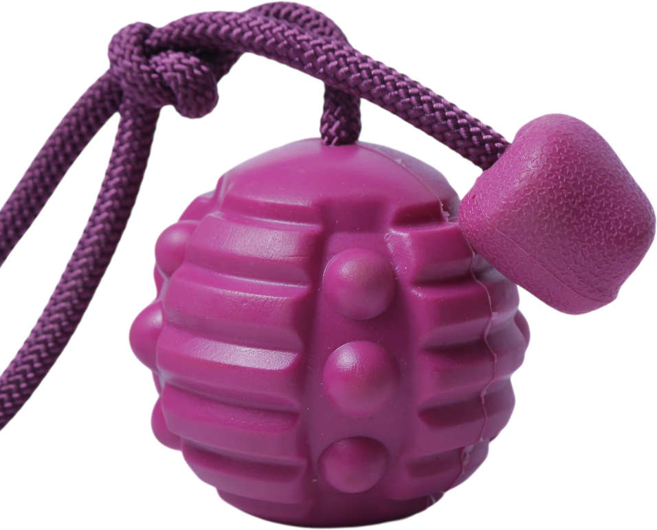 Brinquedo Bola com Corda Roxo Sabor Carne para Cães - Tam. Único
