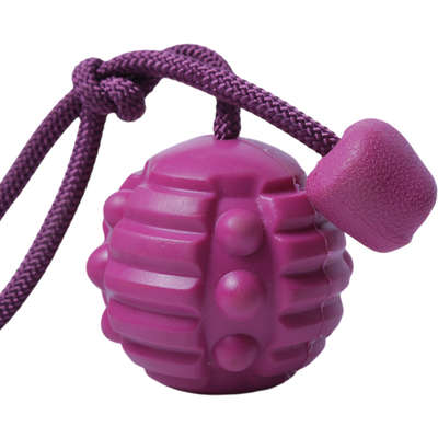 Brinquedo Bola com Corda Roxo Sabor Carne para Cães