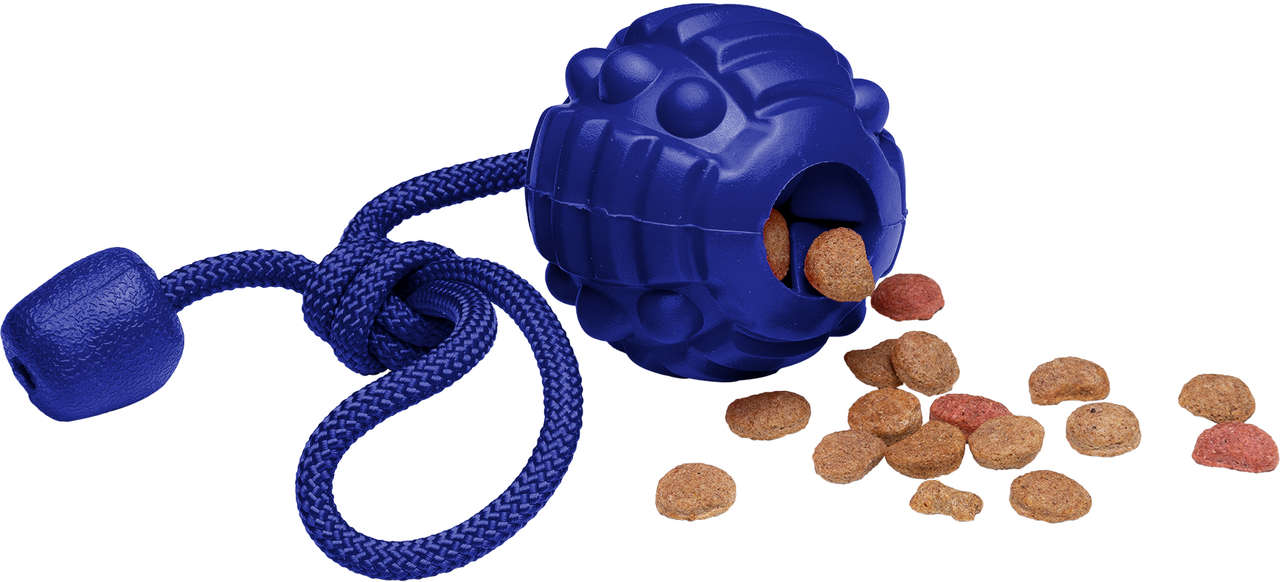 Brinquedo Bola com Corda Azul Sabor Carne para Cães - Tam. Único