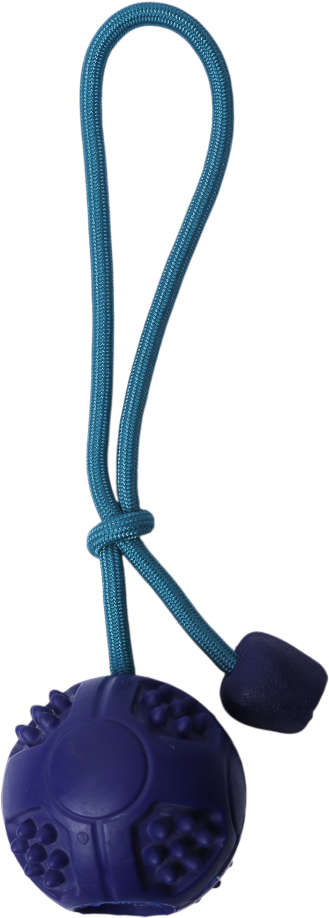 Brinquedo Bola com Corda Azul Sabor Carne para Cães - Tam. Único