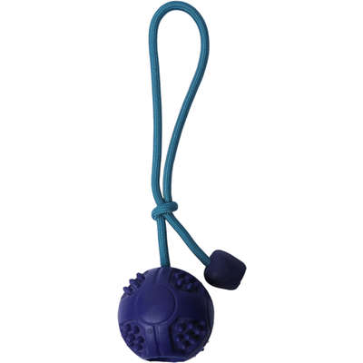 Brinquedo Bola com Corda Azul Sabor Carne para Cães