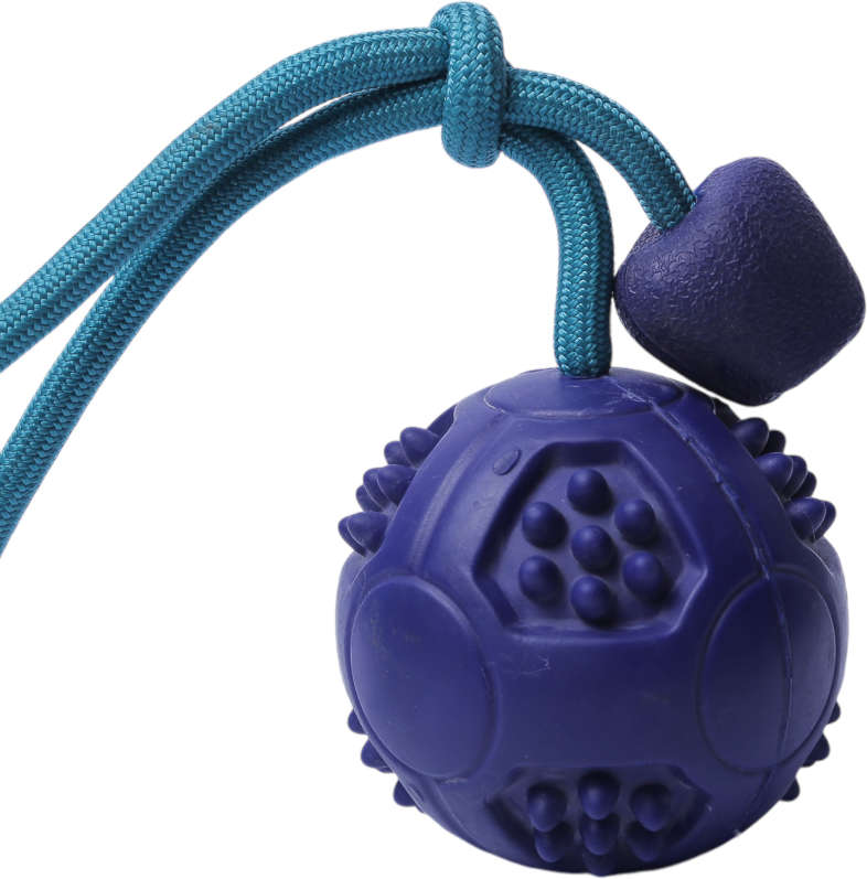 Brinquedo Bola com Corda Azul Sabor Carne para Cães - Tam. Único