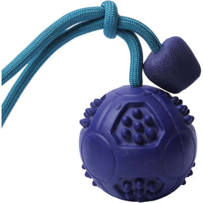 Brinquedo Bola com Corda Azul Sabor Carne para Cães