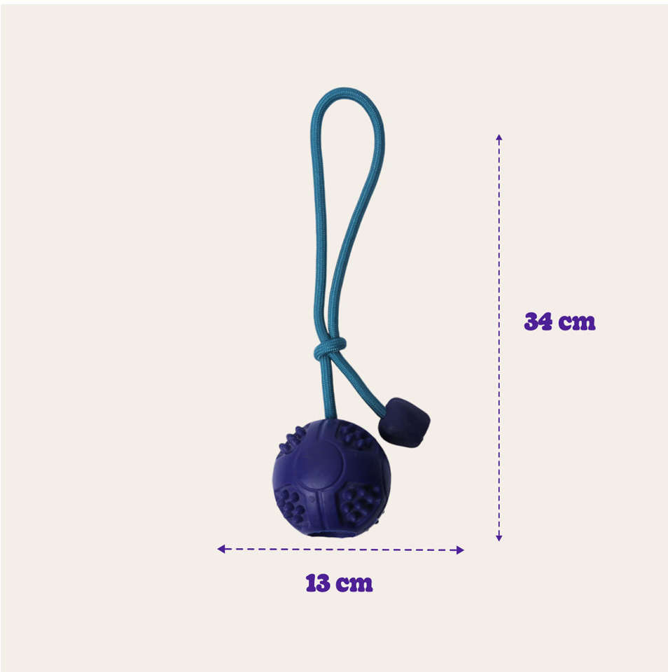 Brinquedo Bola com Corda Azul Sabor Carne para Cães - Tam. Único