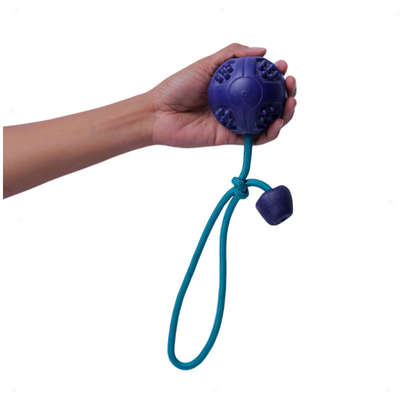 Brinquedo Bola com Corda Azul Sabor Carne para Cães