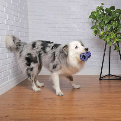 Brinquedo Ampulheta com Dispenser de Ração Azul Sabor Bacon para Cães