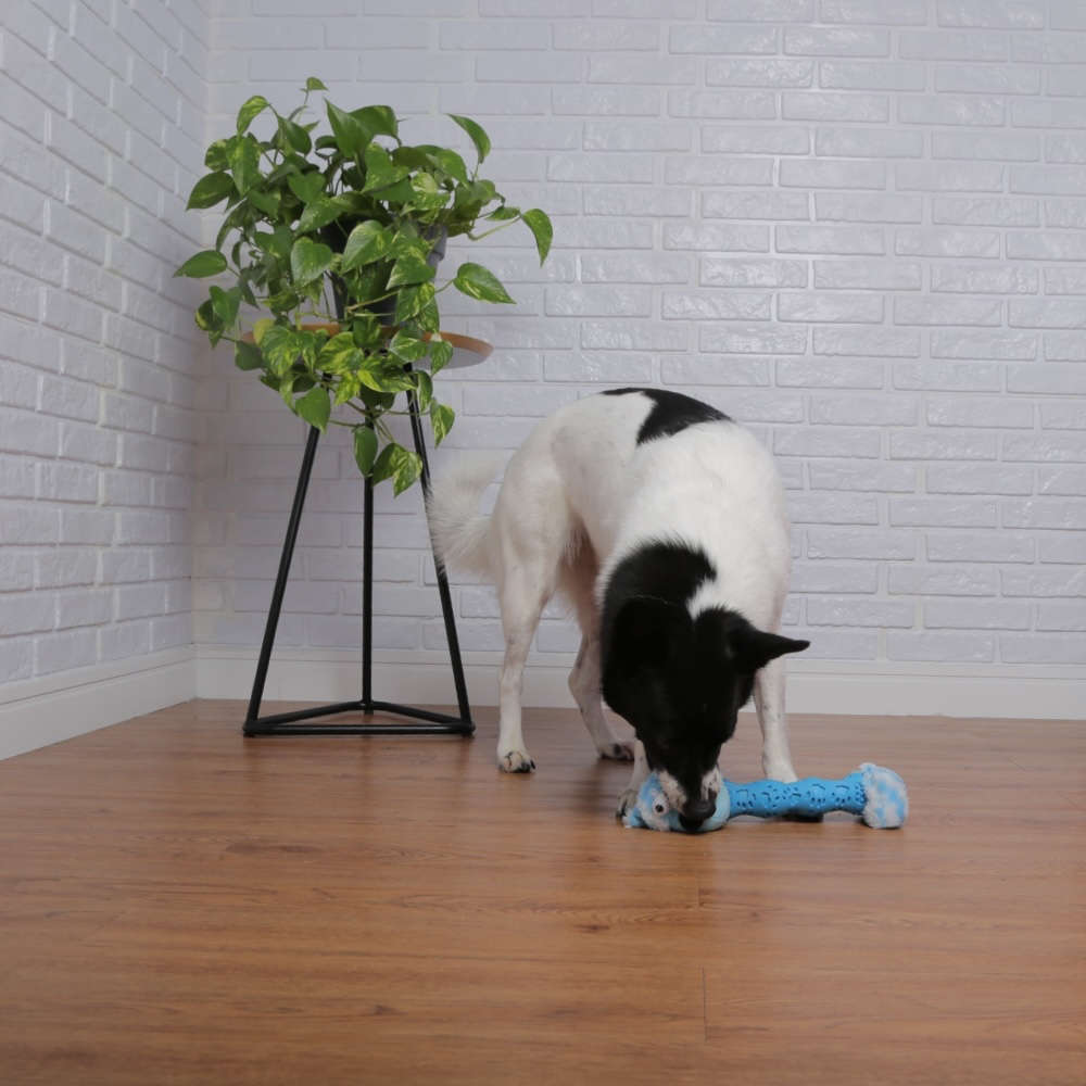 Brinquedo Pelúcia Cachorro Salsicha Azul para Cães - Tam. Único
