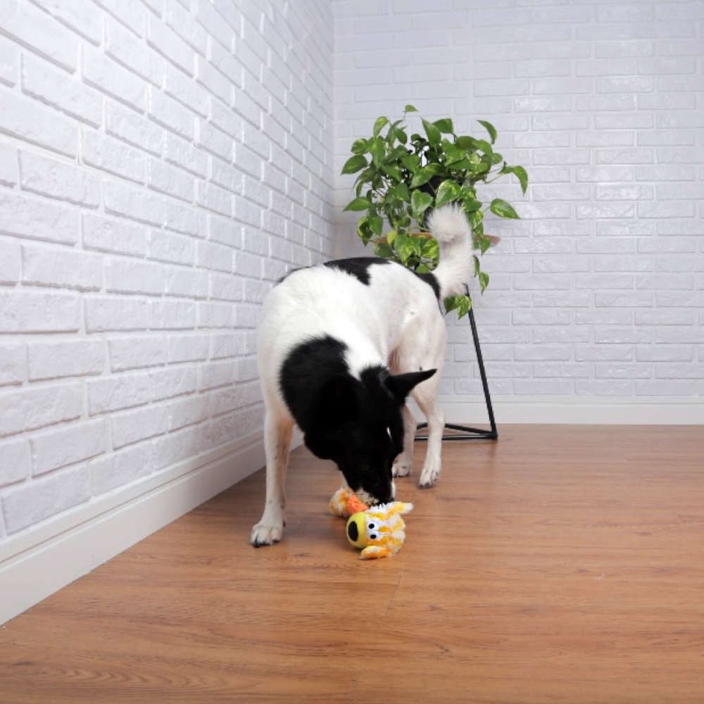Brinquedo Pelúcia Cachorro Salsicha Laranja para Cães - Tam. Único