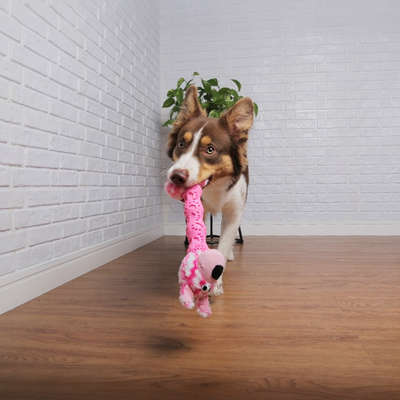 Brinquedo Pelúcia Cachorro Salsicha Rosa para Cães