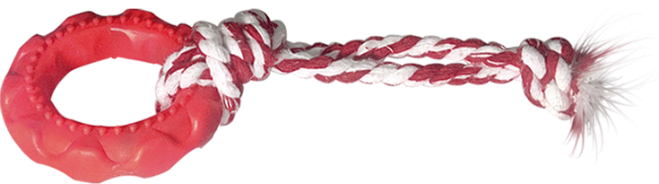 Brinquedo Pneu Slick de Borracha Furacão Pet Vermelho com Corda - Tam. Único