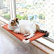 Cama Janeleira Gatton Catbed Colorado para Gatos