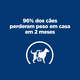 Ração Úmida Hill's Presciption Diet Metabolic + Mobility Sabor Vegetal e Atum para Cães