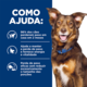 Ração Úmida Hill's Presciption Diet Metabolic + Mobility Sabor Vegetal e Atum para Cães