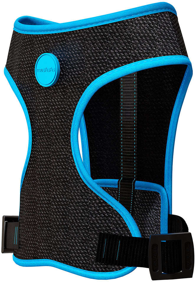 Peitoral Mesh Neon Azul para Cães - Tam. M