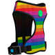 Peitoral Mesh Rainbow”