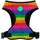Peitoral Mesh Rainbow”