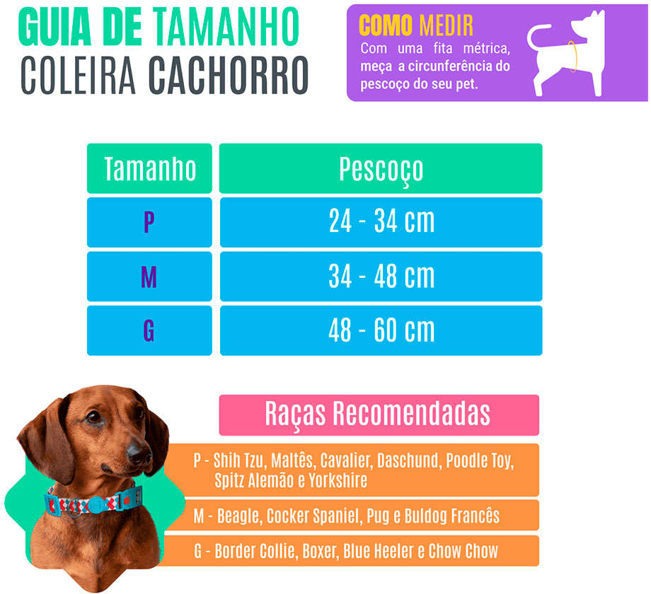 Coleira Neon Azul para Cães - Tam. G