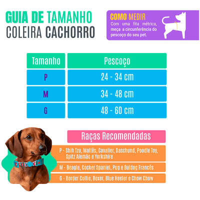 Coleira Neon Azul para Cães”