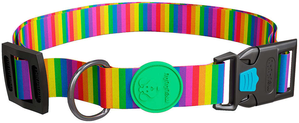 Coleira Rainbow para Cães - Tam. M