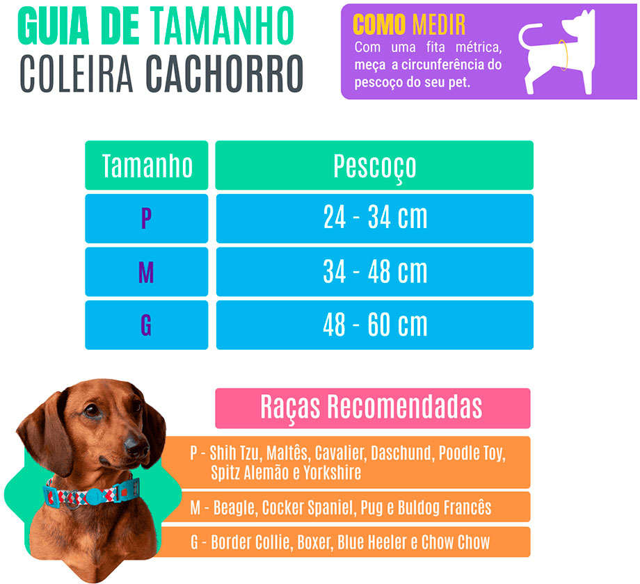 Coleira Rainbow para Cães - Tam. M