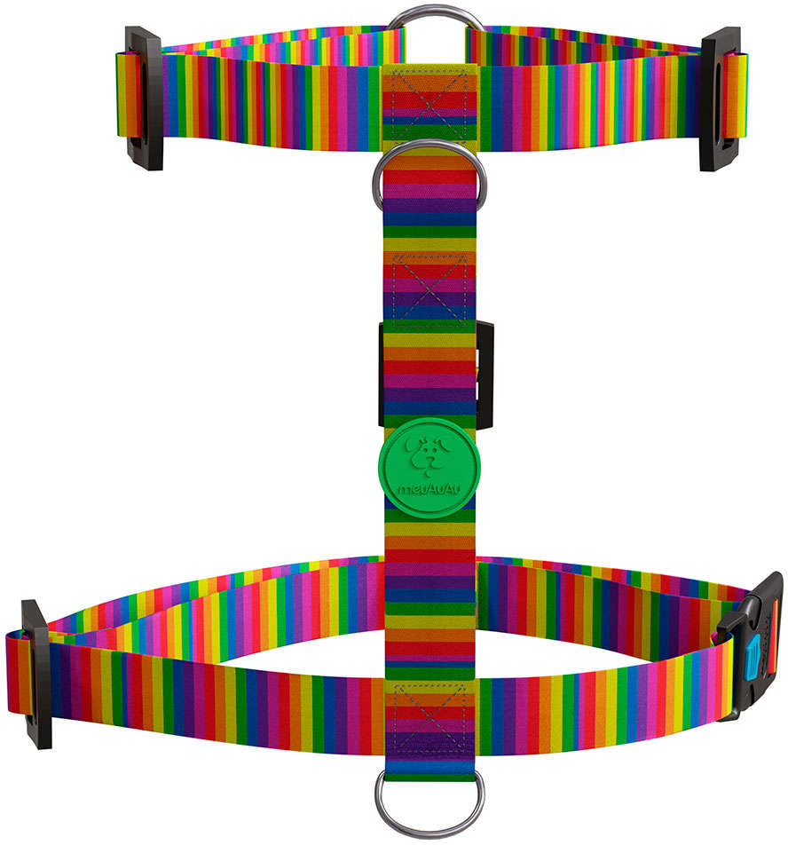Peitoral H e Guia Rainbow para Cães - Tam. M