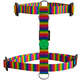 Peitoral H e Guia Rainbow para Cães