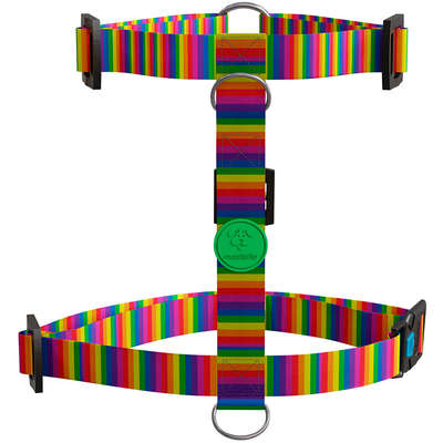 Peitoral H e Guia Rainbow para Cães