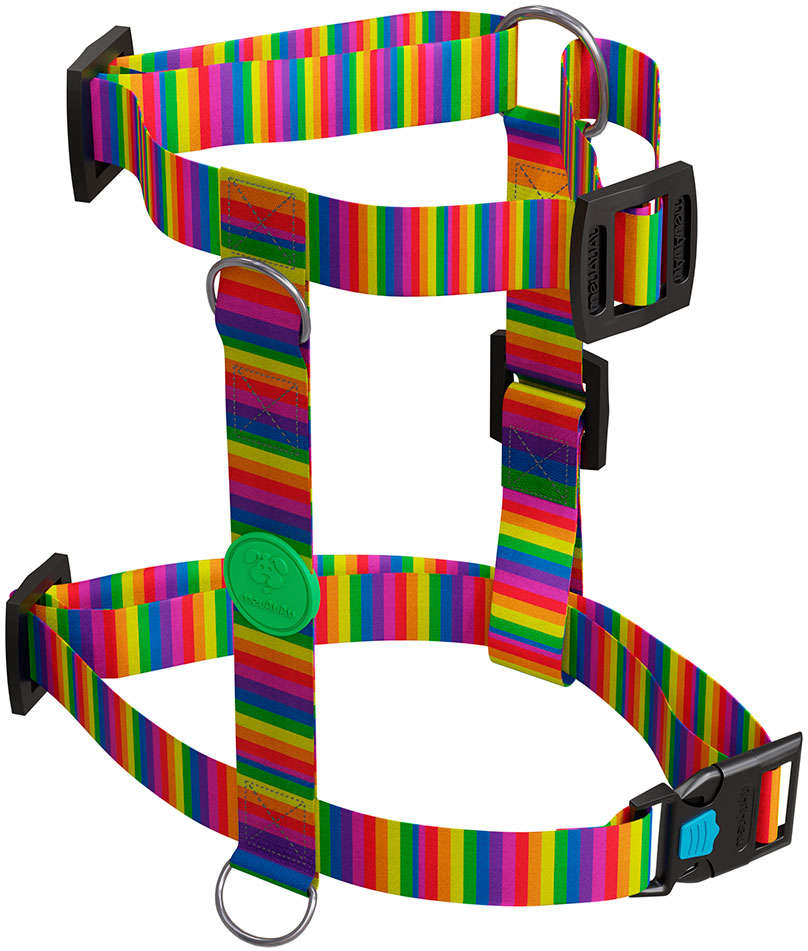 Peitoral H e Guia Rainbow para Cães - Tam. M