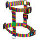 Peitoral H e Guia Rainbow para Cães
