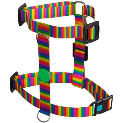 Peitoral H e Guia Rainbow para Cães