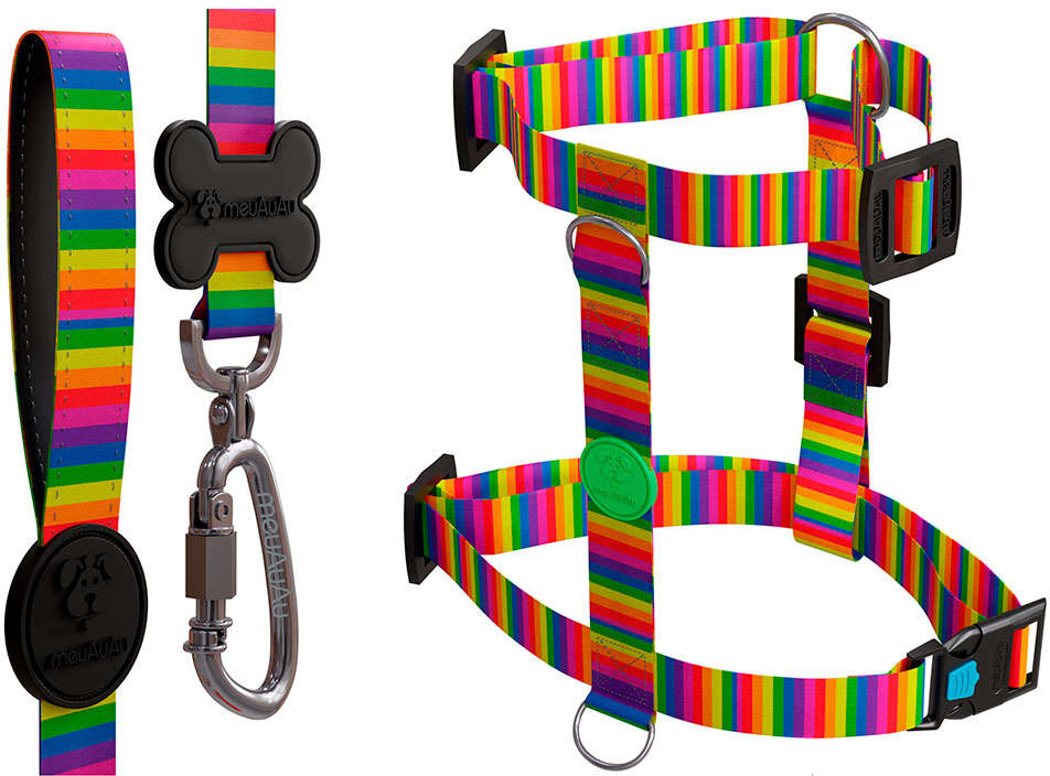 Peitoral H e Guia Rainbow para Cães - Tam. M