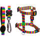 Peitoral H e Guia Rainbow para Cães