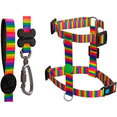 Peitoral H e Guia Rainbow para Cães