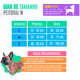 Peitoral H e Guia Rainbow para Cães