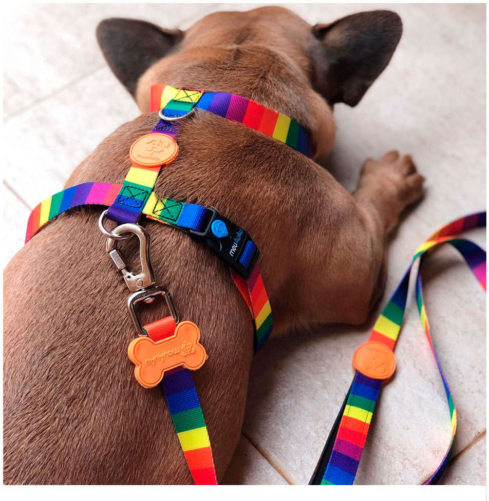 Peitoral H e Guia Rainbow para Cães - Tam. M