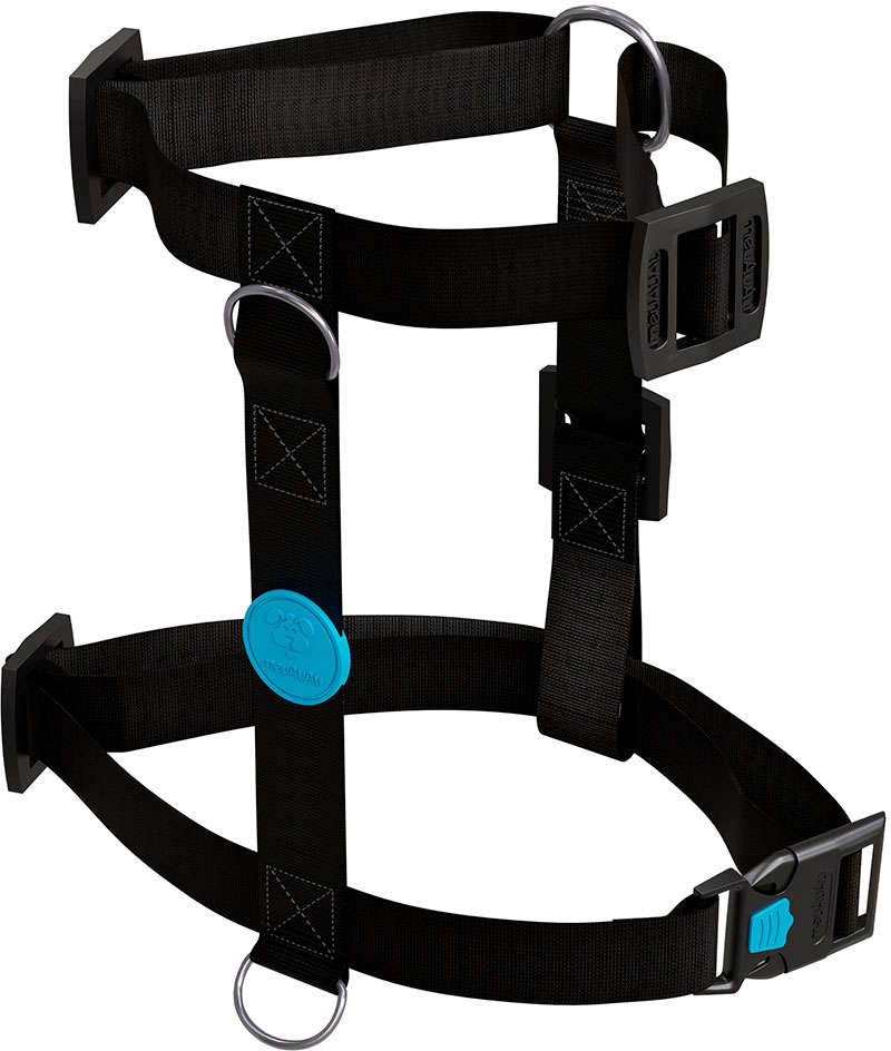 Conjunto Peitoral e Guia Neon Azul para Cães - Tam. P