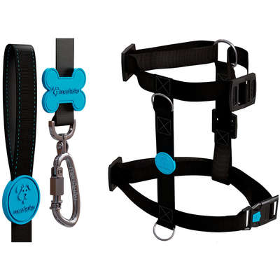 Peitoral H e Guia Neon Azul para Cães