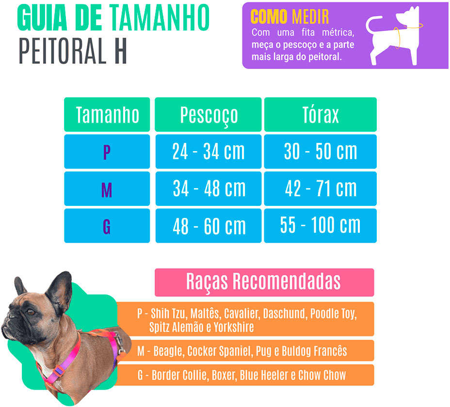 Conjunto Peitoral e Guia Neon Azul para Cães - Tam. P