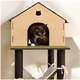 Arranhador Fábrica Pet Cat Home