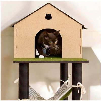 Arranhador Fábrica Pet Cat Home